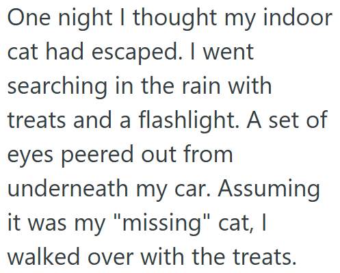 One night I thought my indoor cat had escaped. I went searching in the rain with treats and a flashlight. A set of eyes peered out from underneath my car. Assuming it was my "missing" cat, I walked over with the treats.