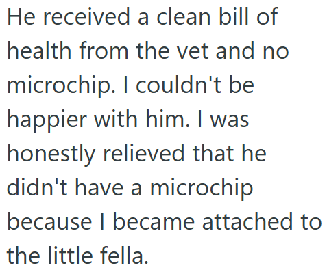 He received a clean bill of health from the vet and no microchip. I couldn't be happier with him. I was honestly relieved that he didn't have a microchip because I became attached to the little fella.