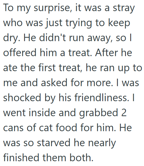 To my surprise, it was a stray who was just trying to keep dry. He didn't run away, so I offered him a treat. After he ate the first treat, he ran up to me and asked for more. I was shocked by his friendliness. I went inside and grabbed 2 cans of cat food for him. He was so starved he nearly finished them both.