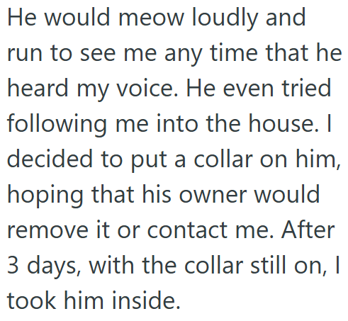 He would meow loudly and run to see me any time that he heard my voice. He even tried following me into the house. I decided to put a collar on him, hoping that his owner would remove it or contact me. After 3 days, with the collar still on, I took him inside.