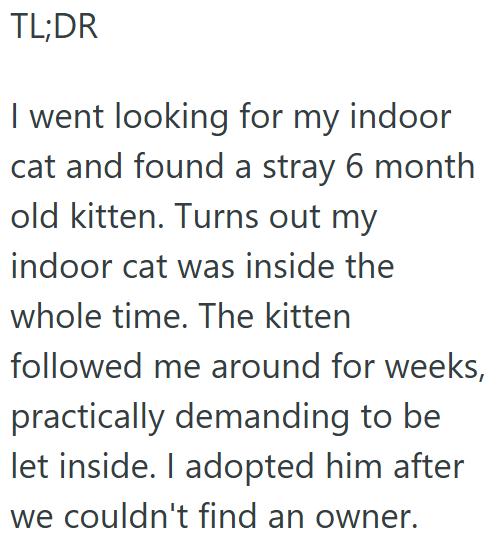TL;DR I went looking for my indoor cat and found a stray 6 month old kitten. Turns out my indoor cat was inside the whole time. The kitten followed me around for weeks, practically demanding to be let inside. I adopted him after we couldn't find an owner.