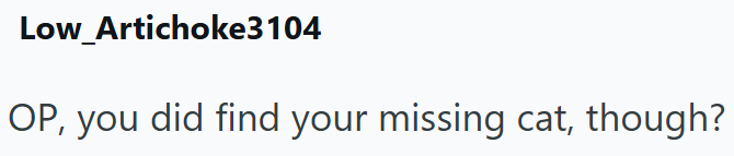 Low_Artichoke3104 OP, you did find your missing cat, though?