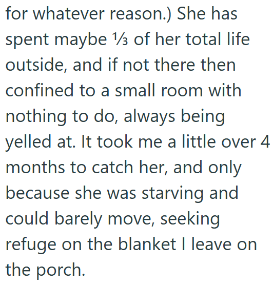 for whatever reason.) She has spent maybe 1/3 of her total life outside, and if not there then confined to a small room with nothing to do, always being yelled at. It took me a little over 4 months to catch her, and only because she was starving and could barely move, seeking refuge on the blanket I leave on the porch.