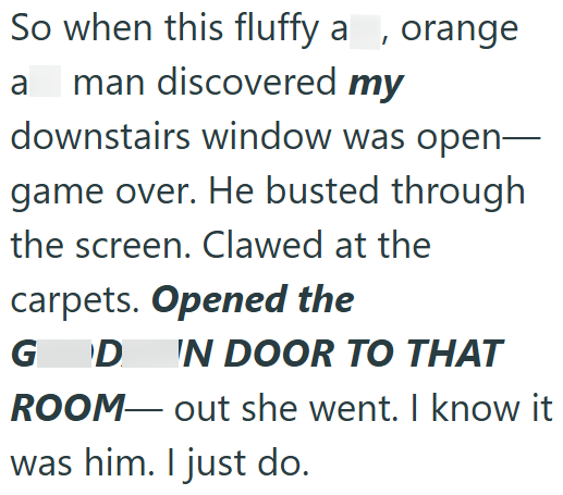 So when this fluffy a orange a man discovered my downstairs window was open― game over. He busted through the screen. Clawed at the carpets. Opened the G D IN DOOR TO THAT ROOM-out she went. I know it was him. I just do.