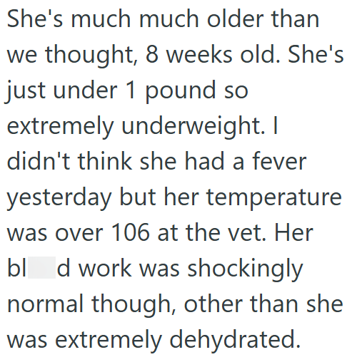 She's much much older than we thought, 8 weeks old. She's just under 1 pound so extremely underweight. I didn't think she had a fever yesterday but her temperature was over 106 at the vet. Her blad work was shockingly normal though, other than she was extremely dehydrated.