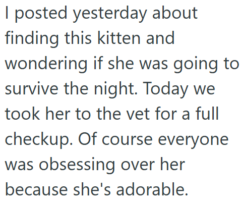 I posted yesterday about finding this kitten and wondering if she was going to survive the night. Today we took her to the vet for a full checkup. Of course everyone was obsessing over her because she's adorable.