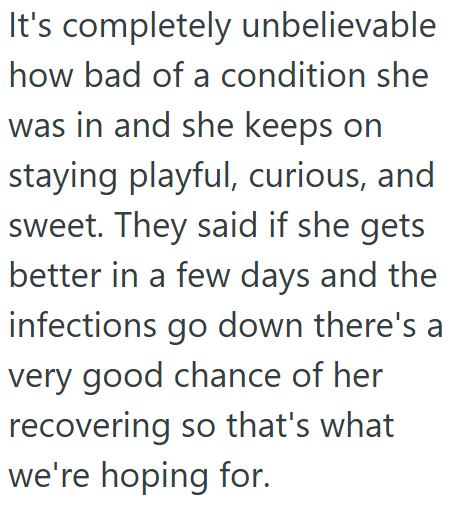 It's completely unbelievable how bad of a condition she was in and she keeps on staying playful, curious, and sweet. They said if she gets better in a few days and the infections go down there's a very good chance of her recovering so that's what we're hoping for.