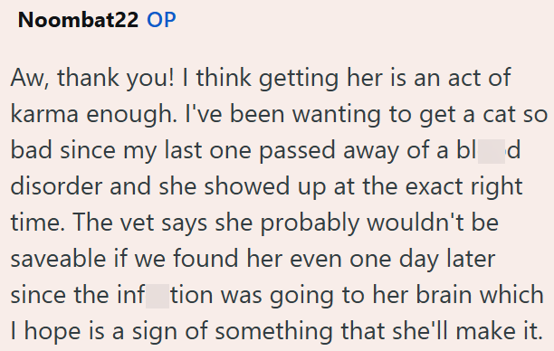 Noombat22 OP Aw, thank you! I think getting her is an act of karma enough. I've been wanting to get a cat so bad since my last one passed away of a blad disorder and she showed up at the exact right time. The vet says she probably wouldn't be saveable if we found her even one day later since the inftion was going to her brain which I hope is a sign of something that she'll make it.