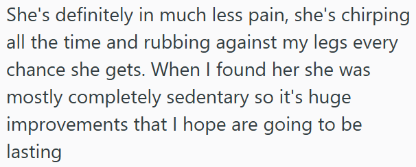 She's definitely in much less pain, she's chirping all the time and rubbing against my legs every chance she gets. When I found her she was mostly completely sedentary so it's huge improvements that I hope are going to be lasting