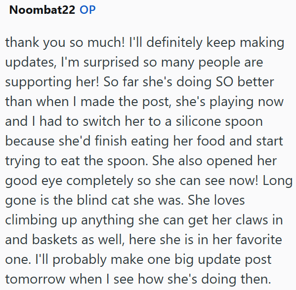 Noombat22 OP thank you so much! I'll definitely keep making updates, I'm surprised so many people are supporting her! So far she's doing SO better than when I made the post, she's playing now and I had to switch her to a silicone spoon because she'd finish eating her food and start trying to eat the spoon. She also opened her good eye completely so she can see now! Long gone is the blind cat she was. She loves climbing up anything she can get her claws in and baskets as well, here she is in her