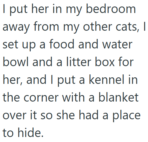 I put her in my bedroom away from my other cats, I set up a food and water bowl and a litter box for her, and I put a kennel in the corner with a blanket over it so she had a place to hide.
