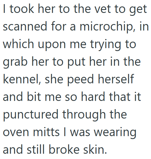 I took her to the vet to get scanned for a microchip, in which upon me trying to grab her to put her in the kennel, she peed herself and bit me so hard that it punctured through the oven mitts I was wearing and still broke skin.