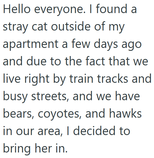 Hello everyone. I found a stray cat outside of my apartment a few days ago and due to the fact that we live right by train tracks and busy streets, and we have bears, coyotes, and hawks in our area, I decided to bring her in.