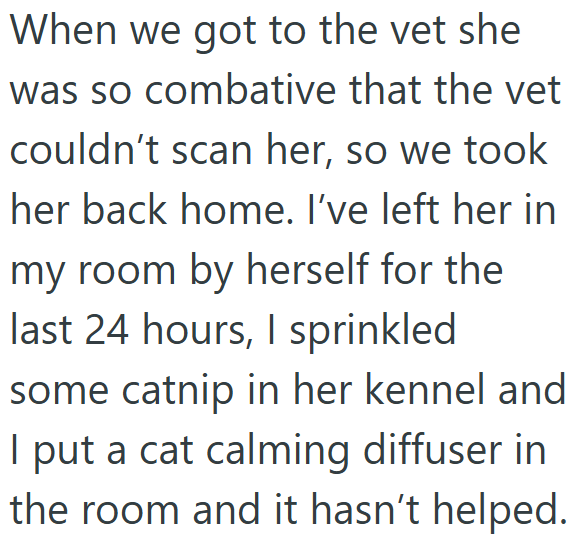 When we got to the vet she was so combative that the vet couldn't scan her, so we took her back home. I've left her in my room by herself for the last 24 hours, I sprinkled some catnip in her kennel and I put a cat calming diffuser in the room and it hasn't helped.