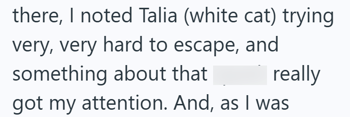 there, I noted Talia (white cat) trying very, very hard to escape, and something about that really got my attention. And, as I was