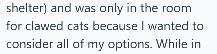 shelter) and was only in the room for clawed cats because I wanted to consider all of my options. While in