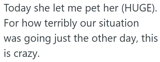 Today she let me pet her (HUGE). For how terribly our situation was going just the other day, this is crazy.