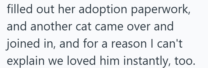 filled out her adoption paperwork, and another cat came over and joined in, and for a reason I can't explain we loved him instantly, too.