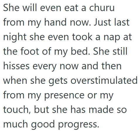 She will even eat a churu from my hand now. Just last night she even took a nap at the foot of my bed. She still hisses every now and then when she gets overstimulated from my presence or my touch, but she has made so much good progress.