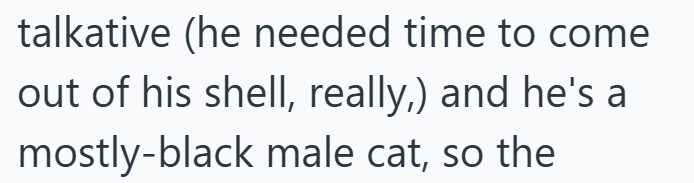talkative (he needed time to come out of his shell, really,) and he's a mostly-black male cat, so the