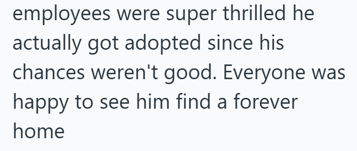 employees were super thrilled he actually got adopted since his chances weren't good. Everyone was happy to see him find a forever home