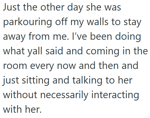 Just the other day she was parkouring off my walls to stay away from me. I've been doing what yall said and coming in the room every now and then and just sitting and talking to her without necessarily interacting with her.