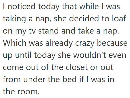 I noticed today that while I was taking a nap, she decided to loaf on my tv stand and take a nap. Which was already crazy because up until today she wouldn't even come out of the closet or out from under the bed if I was in the room.