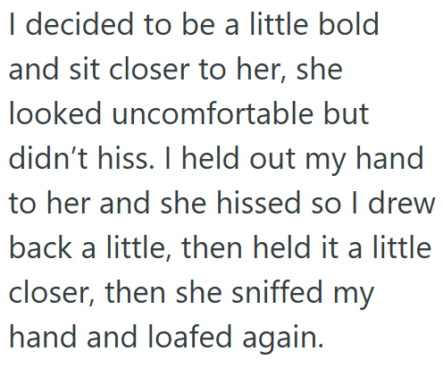 I decided to be a little bold and sit closer to her, she looked uncomfortable but didn't hiss. I held out my hand to her and she hissed so I drew back a little, then held it a little closer, then she sniffed my hand and loafed again.