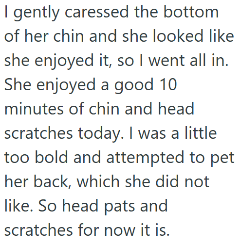 I gently caressed the bottom of her chin and she looked like she enjoyed it, so I went all in. She enjoyed a good 10 minutes of chin and head scratches today. I was a little too bold and attempted to pet her back, which she did not like. So head pats and scratches for now it is.