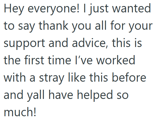 Hey everyone! I just wanted to say thank you all for your support and advice, this is the first time I've worked with a stray like this before and yall have helped so much!