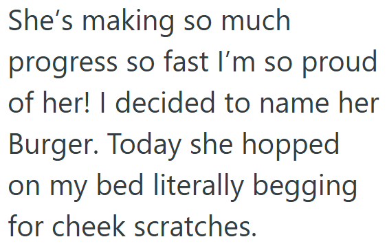 She's making so much progress so fast I'm so proud of her! I decided to name her Burger. Today she hopped on my bed literally begging for cheek scratches.