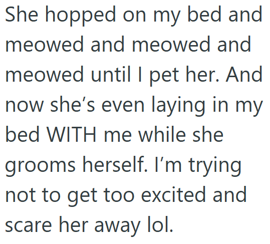 She hopped on my bed and meowed and meowed and meowed until I pet her. And now she's even laying in my bed WITH me while she grooms herself. I'm trying not to get too excited and scare her away lol.