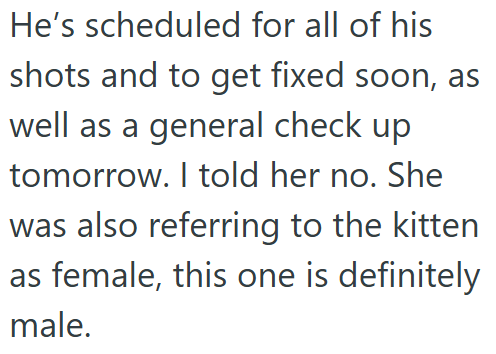 He's scheduled for all of his shots and to get fixed soon, as well as a general check up tomorrow. I told her no. She was also referring to the kitten as female, this one is definitely male.