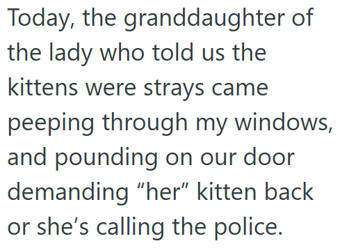 Today, the granddaughter of the lady who told us the kittens were strays came peeping through my windows, and pounding on our door demanding "her" kitten back or she's calling the police.