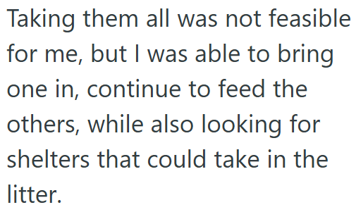 Taking them all was not feasible for me, but I was able to bring one in, continue to feed the others, while also looking for shelters that could take in the litter.
