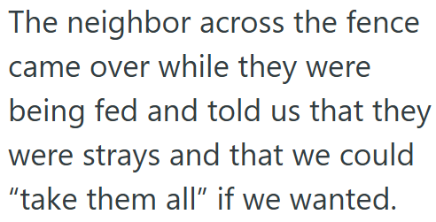 The neighbor across the fence came over while they were being fed and told us that they were strays and that we could "take them all" if we wanted.