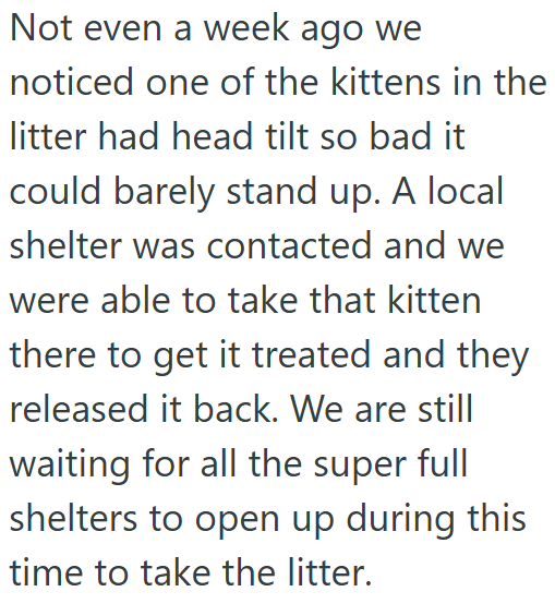 Not even a week ago we noticed one of the kittens in the litter had head tilt so bad it could barely stand up. A local shelter was contacted and we were able to take that kitten there to get it treated and they released it back. We are still waiting for all the super full shelters to open up during this time to take the litter.