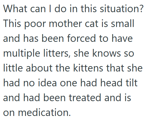 What can I do in this situation? This poor mother cat is small and has been forced to have multiple litters, she knows so little about the kittens that she had no idea one had head tilt and had been treated and is on medication.