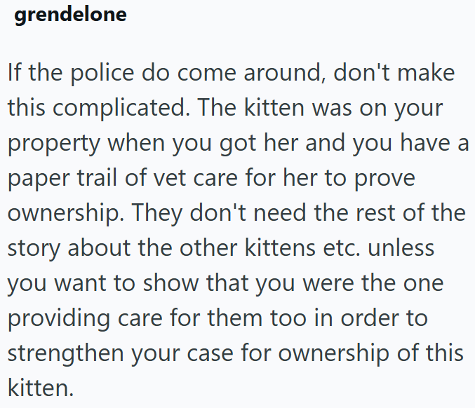 grendelone If the police do come around, don't make this complicated. The kitten was on your property when you got her and you have a paper trail of vet care for her to prove ownership. They don't need the rest of the story about the other kittens etc. unless you want to show that you were the one providing care for them too in order to strengthen your case for ownership of this kitten.