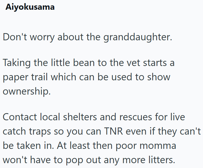 Aiyokusama Don't worry about the granddaughter. Taking the little bean to the vet starts a paper trail which can be used to show ownership. Contact local shelters and rescues for live catch traps so you can TNR even if they can't be taken in. At least then poor momma won't have to pop out any more litters.