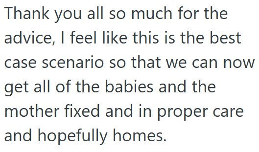 Thank you all so much for the advice, I feel like this is the best case scenario so that we can now get all of the babies and the mother fixed and in proper care and hopefully homes.
