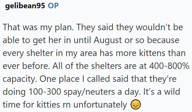 gelibean95 OP That was my plan. They said they wouldn't be able to get her in until August or so because every shelter in my area has more kittens than ever before. All of the shelters are at 400-800% capacity. One place I called said that they're doing 100-300 spay/neuters a day. It's a wild time for kitties rn unfortunately