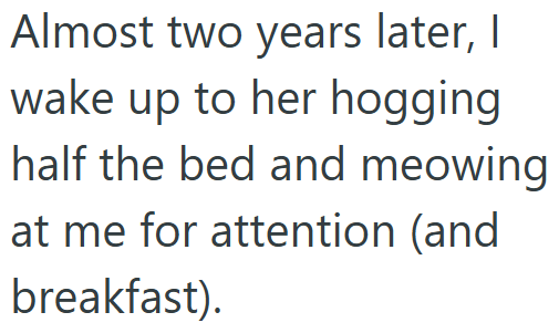 Almost two years later, I wake up to her hogging half the bed and meowing at me for attention (and breakfast).