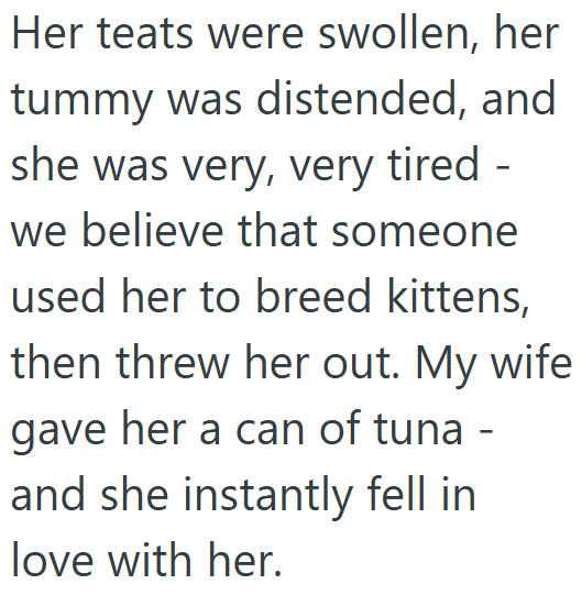 Her teats were swollen, her tummy was distended, and she was very, very tired - we believe that someone used her to breed kittens, then threw her out. My wife gave her a can of tuna - and she instantly fell in love with her.