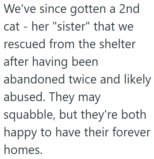 We've since gotten a 2nd cat - her "sister" that we rescued from the shelter after having been abandoned twice and likely abused. They may squabble, but they're both happy to have their forever homes.