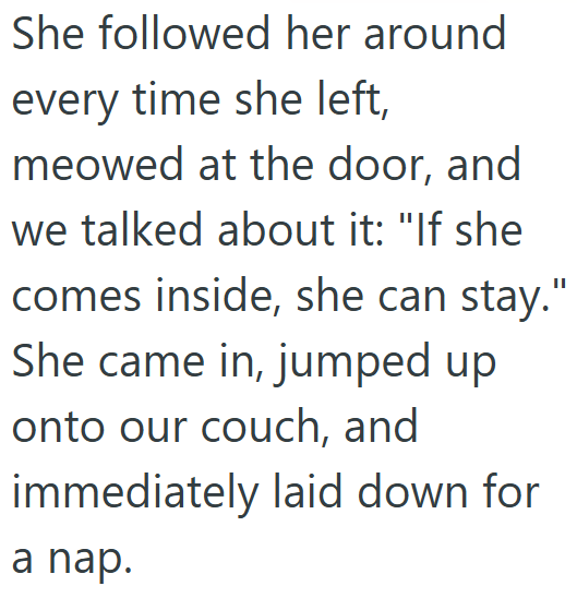 She followed her around every time she left, meowed at the door, and we talked about it: "If she comes inside, she can stay." She came in, jumped up onto our couch, and immediately laid down for a nap.