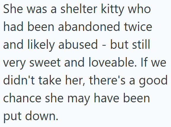 She was a shelter kitty who had been abandoned twice and likely abused - but still very sweet and loveable. If we didn't take her, there's a good chance she may have been put down.