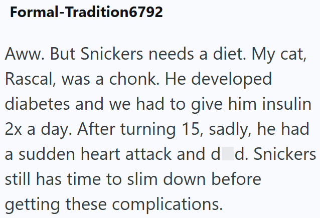 Formal-Tradition6792 Aww. But Snickers needs a diet. My cat, Rascal, was a chonk. He developed diabetes and we had to give him insulin 2x a day. After turning 15, sadly, he had a sudden heart attack and d d. Snickers still has time to slim down before getting these complications.