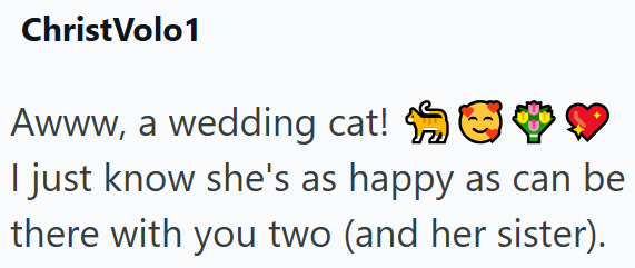 ChristVolo1 Awww, a wedding cat! ❤ I just know she's as happy as can be there with you two (and her sister).