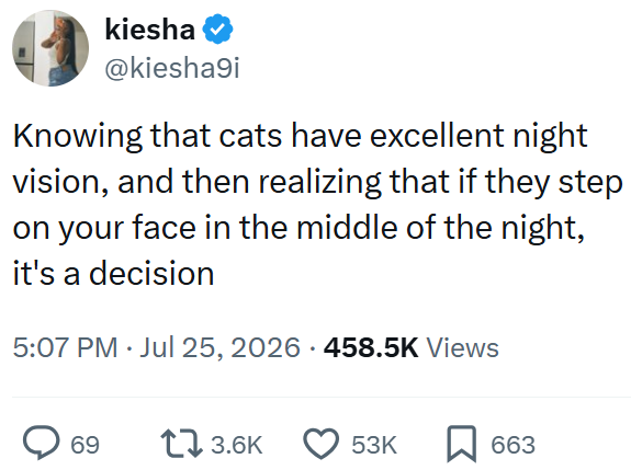 kiesha @kiesha9i Knowing that cats have excellent night vision, and then realizing that if they step on your face in the middle of the night, it's a decision 5:07 PM ⚫ Jul 25, 2026 458.5K Views 69 17 3.6K 53K 663